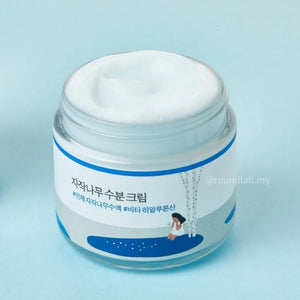 ROUND LAB Birch Juice Moisturizing Cream 80ml