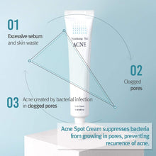 Load image into Gallery viewer, PYUNKANG YUL Acne Spot Cream 15ml